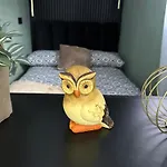 Apartmán Zielona Gora *