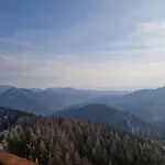 Zielona Gora *