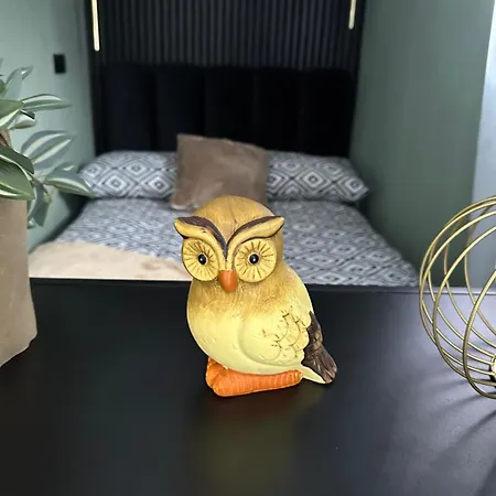 Apartmán Zielona Gora *