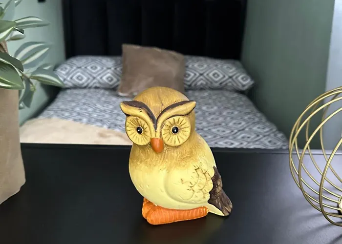 דירה Zielona Gora *